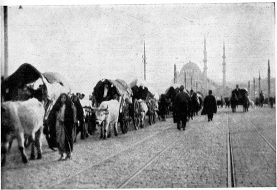 Birinci Balkan Savaşı sırasında Balkanlardan göçen muhacirler